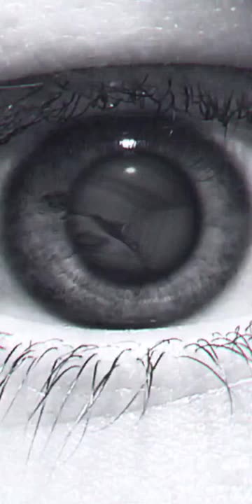 Preview for a Spotlight video that uses the Reflection Lens
