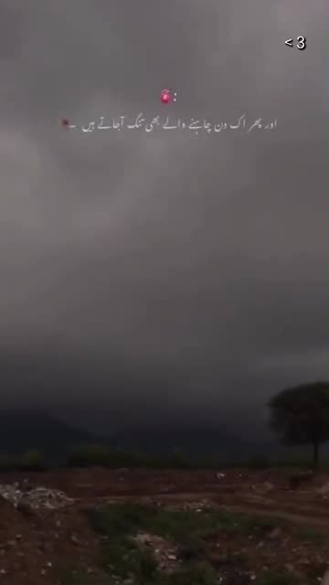 Preview for a Spotlight video that uses the Gallery Video Lens
