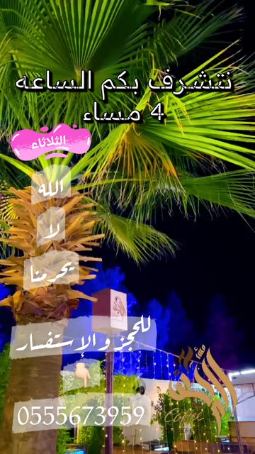 Preview for a Spotlight video that uses the ALREEF EVENING Lens