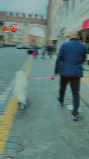 Preview for a Spotlight video that uses the SOFT BLUR Lens