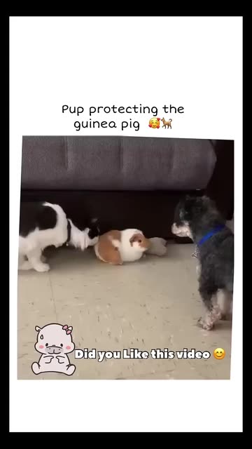 Be Kind