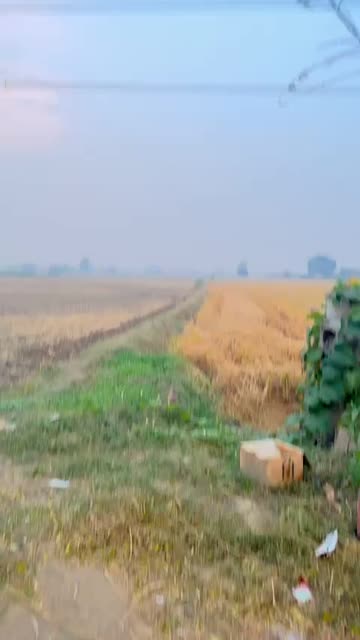 Preview for a Spotlight video that uses the Iphone Filter Lens