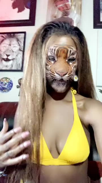 Preview for a Spotlight video that uses the Tiger Lens