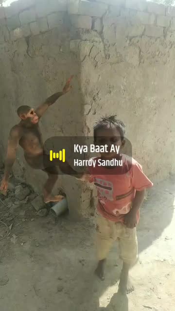 Preview for a Spotlight video that uses the monkey Dancing Lens