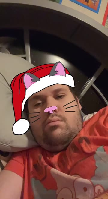 Preview for a Spotlight video that uses the Santa Paws Lens