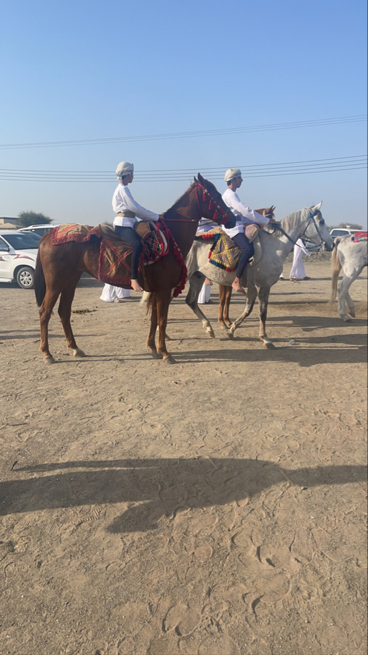 محتوى سناب شات لـ 𝕄𝕆ℍ𝔸𝕄𝕄𝔼𝔻 🇦🇪