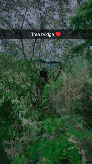 Preview for a Spotlight video that uses the Temporada Lens