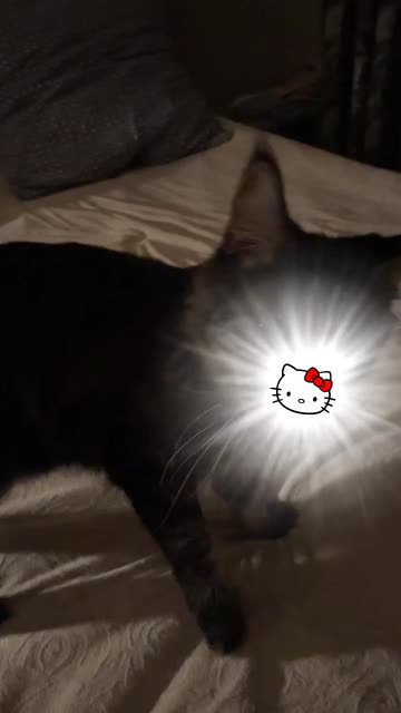 Preview for a Spotlight video that uses the hello kitty shine Lens