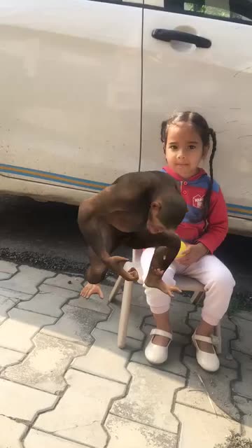 Preview for a Spotlight video that uses the Monkey Dancing Lens