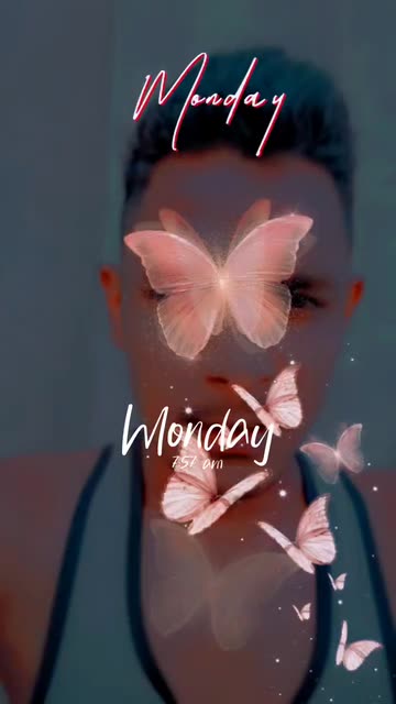 Preview for a Spotlight video that uses the Day Butterfly Lens