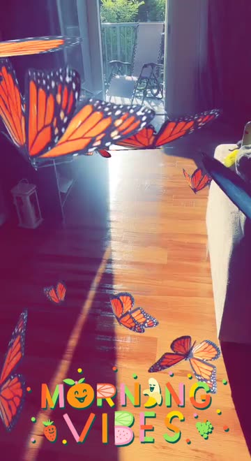 Preview for a Spotlight video that uses the dreamier butterfly Lens