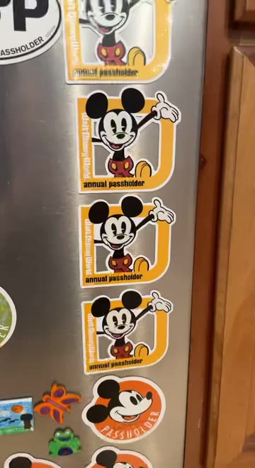 Preview for a Spotlight video that uses the Mickey Magnet Lens