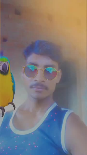 Preview for a Spotlight video that uses the Parrot 🦜 Lens