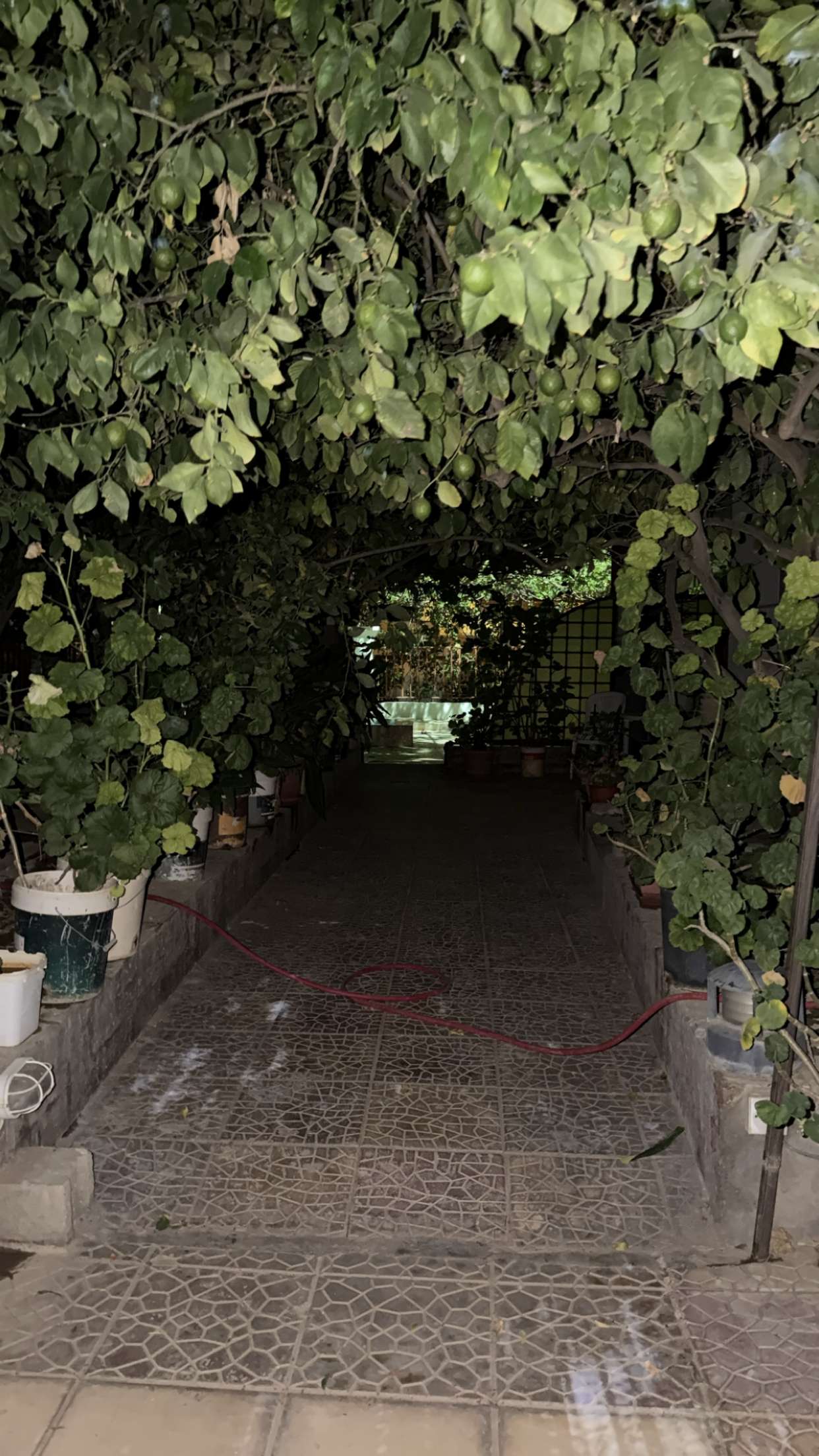 محتوى سناب شات لـ FFF