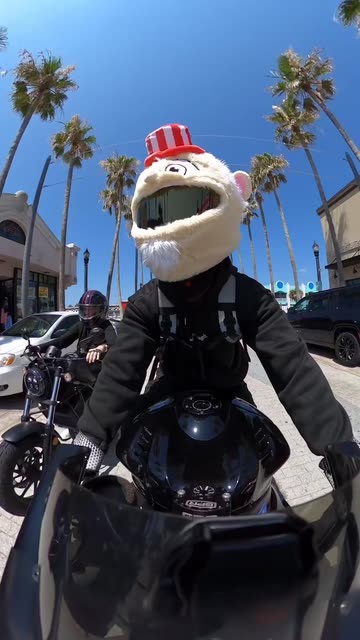 funny motorcycle helmet pictures Cover - Clown Fish funny-bike-helmet « Complete Head Case