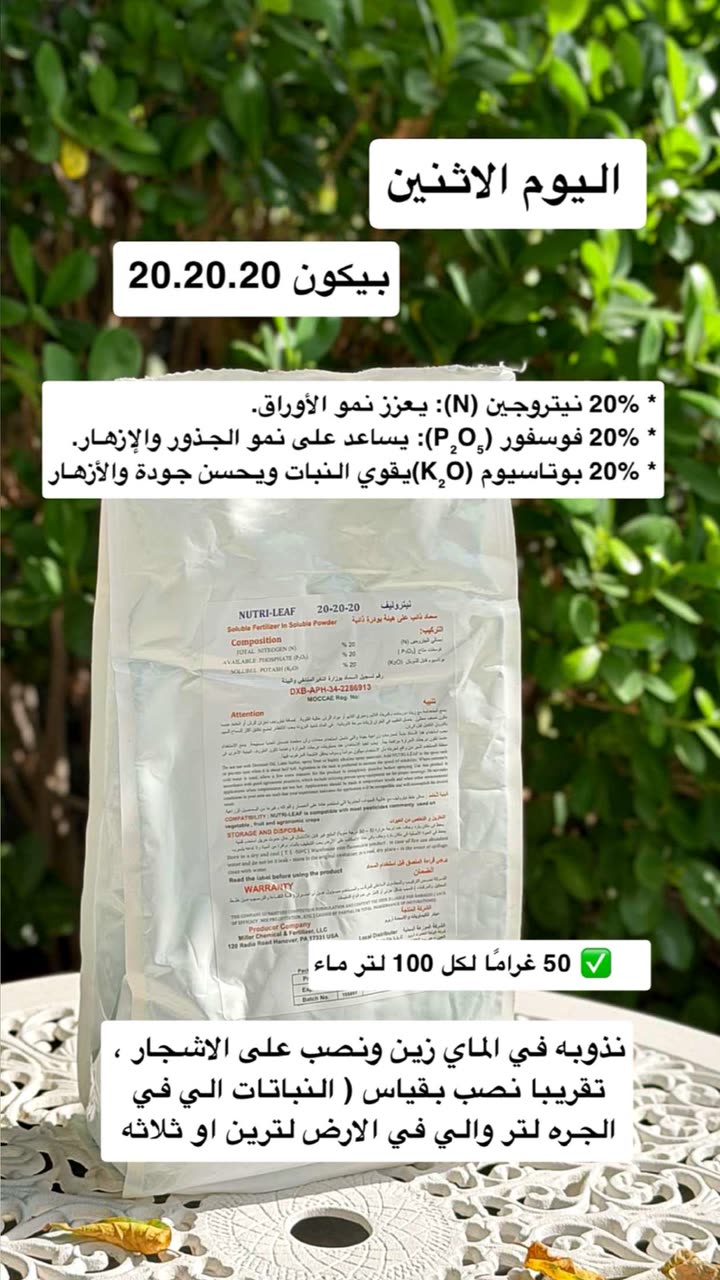 محتوى سناب شات لـ عفرا السويدي 🦋