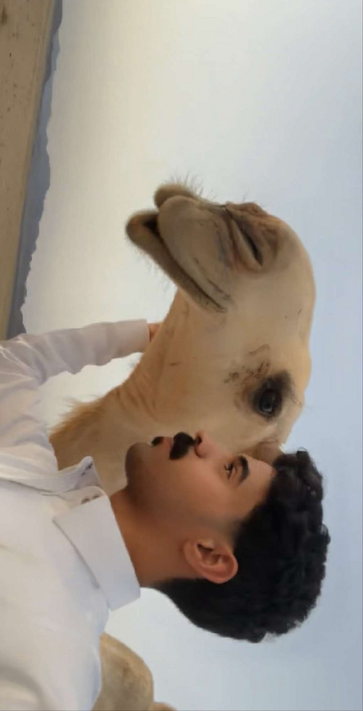 محتوى سناب شات لـ Abdulaziz Al-Moheef