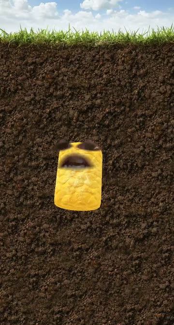 Preview for a Spotlight video that uses the Tater Tot Lens