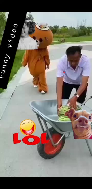 Funny video | Spotlight on Snapchat