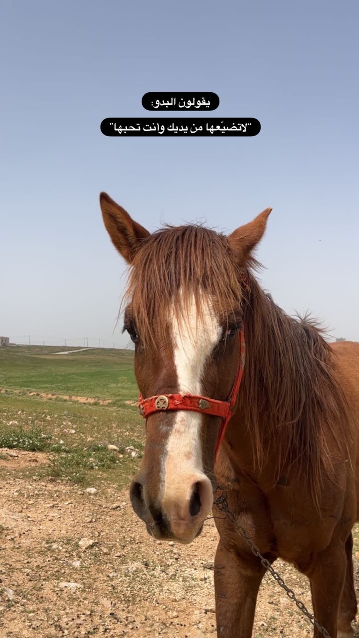 محتوى سناب شات لـ EMAN AL5HALIDI 𓅂 🇰🇼| 🇯🇴