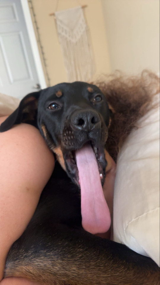 mmjillian