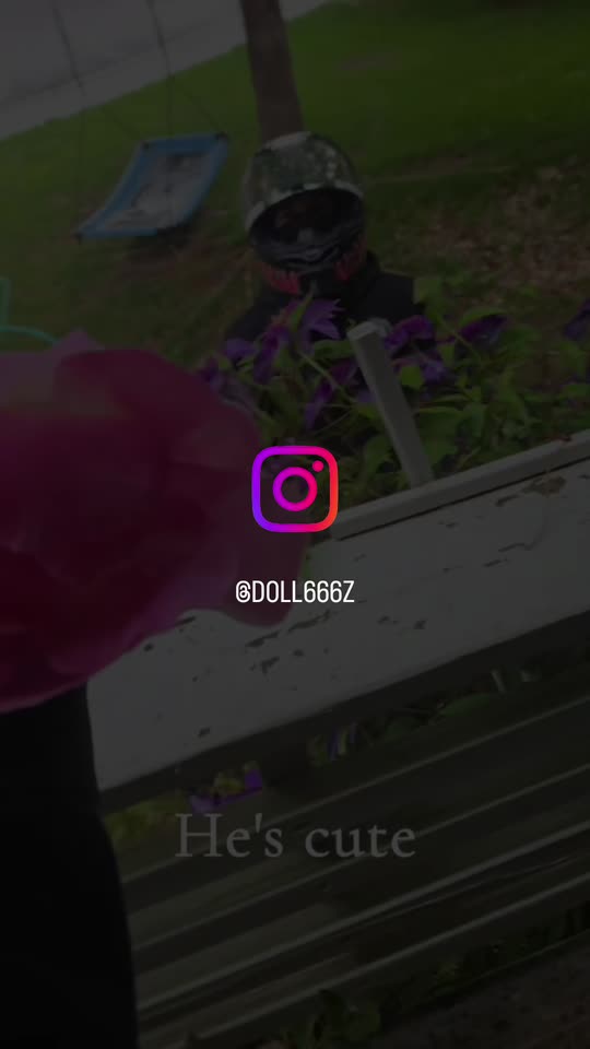 doll666z6