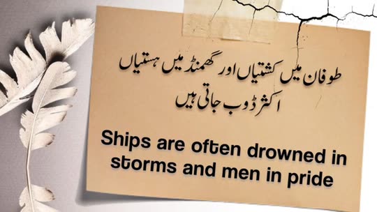d_duaashahzadi