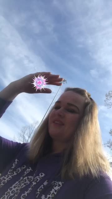 Preview for a Spotlight video that uses the Sunflowers Lens