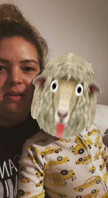 Preview for a Spotlight video that uses the sheep Lens
