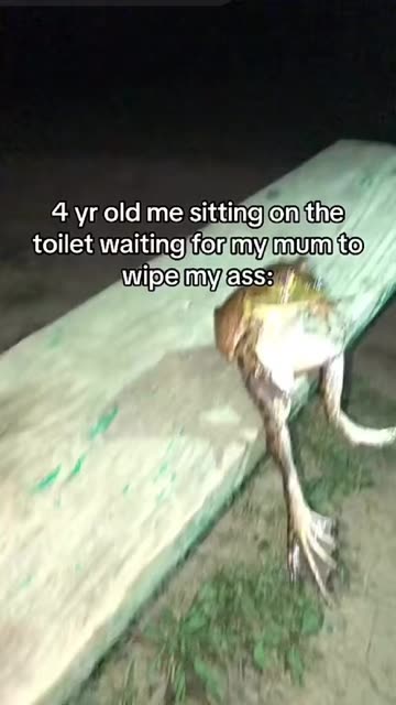 Spotlight content by a Snapchat user