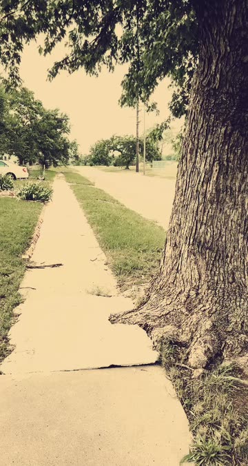 Preview for a Spotlight video that uses the Dead Grass Filter Lens