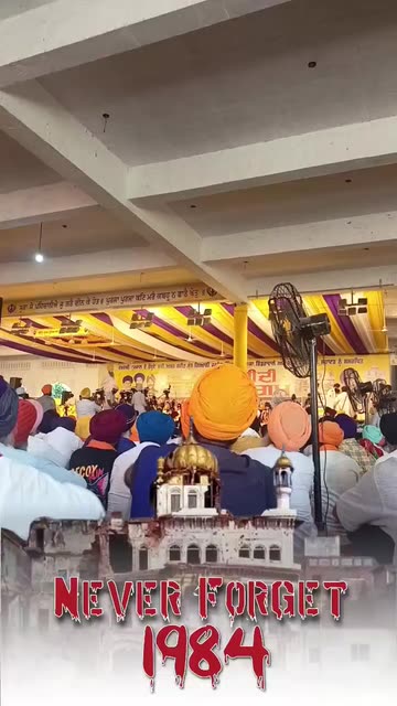 Preview for a Spotlight video that uses the Punjab 1984 Lens