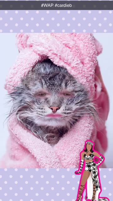 Preview for a Spotlight video that uses the Wet Cat Lens