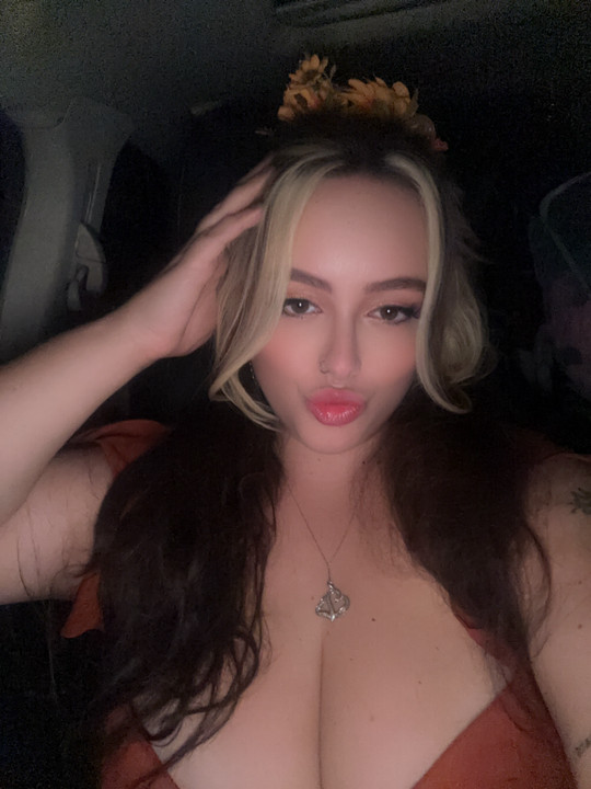 leximo27