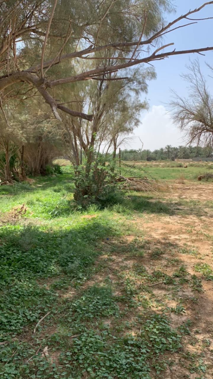 محتوى سناب شات لـ ام عزام