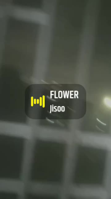 Preview for a Spotlight video that uses the WINNIE THE POOH Lens