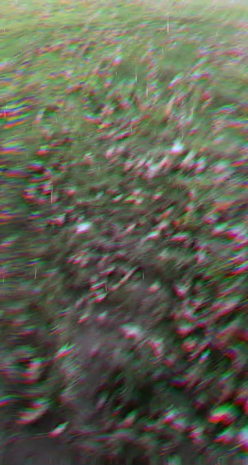 Preview for a Spotlight video that uses the Earthquake Lens