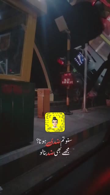 Preview for a Spotlight video that uses the Love Urdu  Quotes Lens