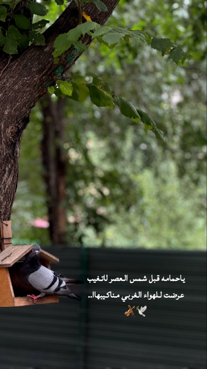 محتوى سناب شات لـ مها الماجد