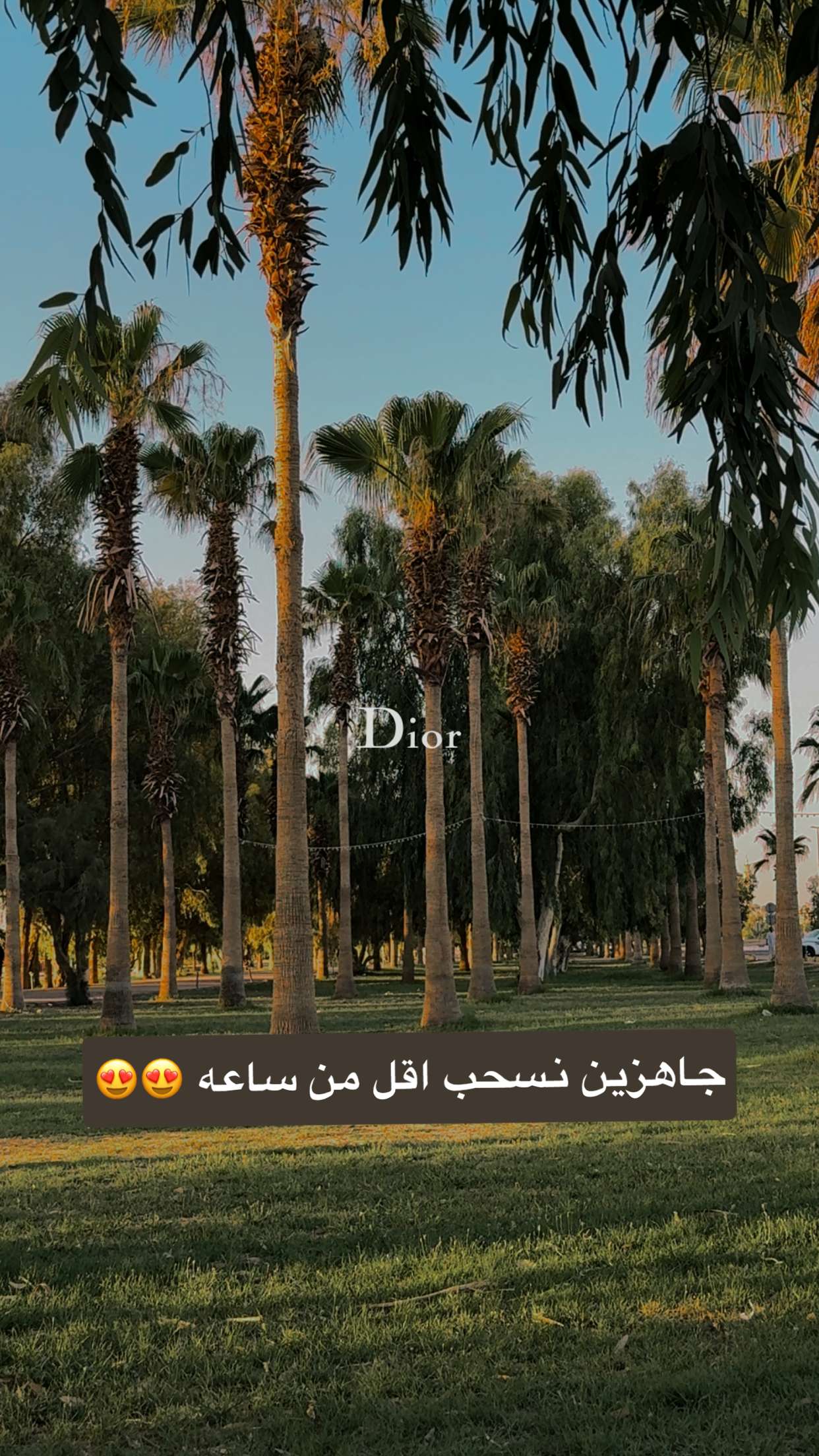 محتوى سناب شات لـ سهم عرعر
