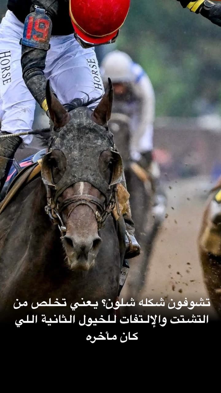 محتوى سناب شات لـ د. هند عنايه وأفكار 🎯