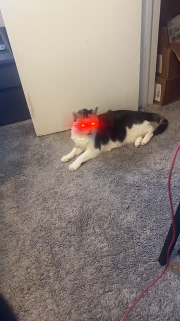 Preview for a Spotlight video that uses the Laser Eyes Lens