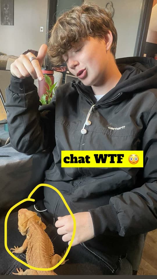 bkipp77