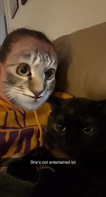 Preview for a Spotlight video that uses the cat-face Lens