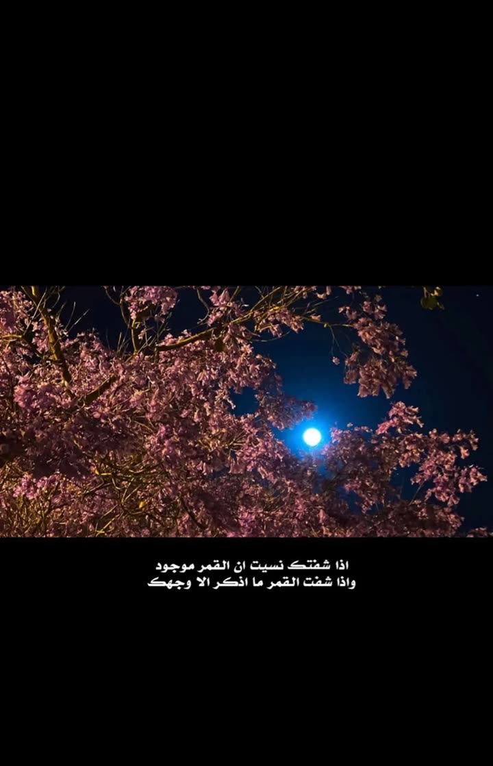 محتوى سناب شات لـ ☤