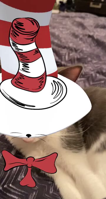 Preview for a Spotlight video that uses the Striped Hat Cats Lens