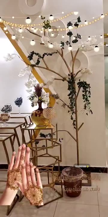 Preview for a Spotlight video that uses the henna walla Lens