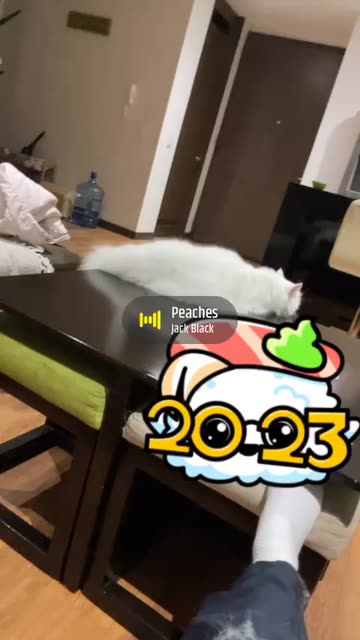 Preview for a Spotlight video that uses the 2023 sushi glasses Lens