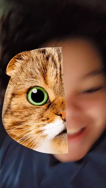 Preview for a Spotlight video that uses the Spirit Animal Lens