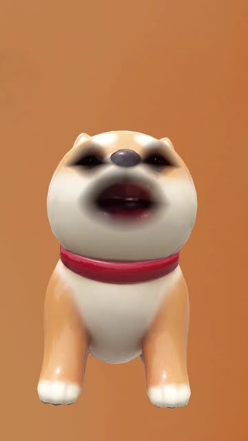 Preview for a Spotlight video that uses the Dog Lens